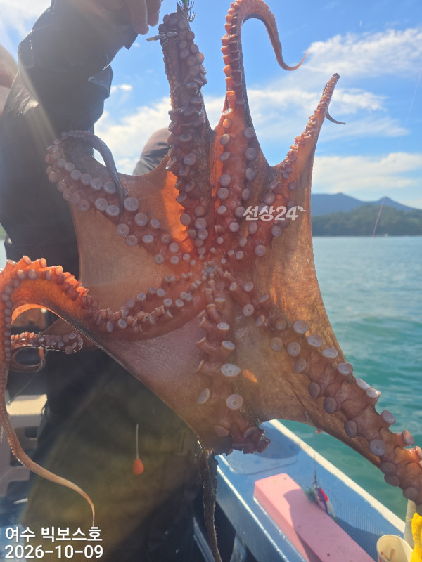 6F5B340D-7C3F-487E-9A21-3C737017A855.jpeg
