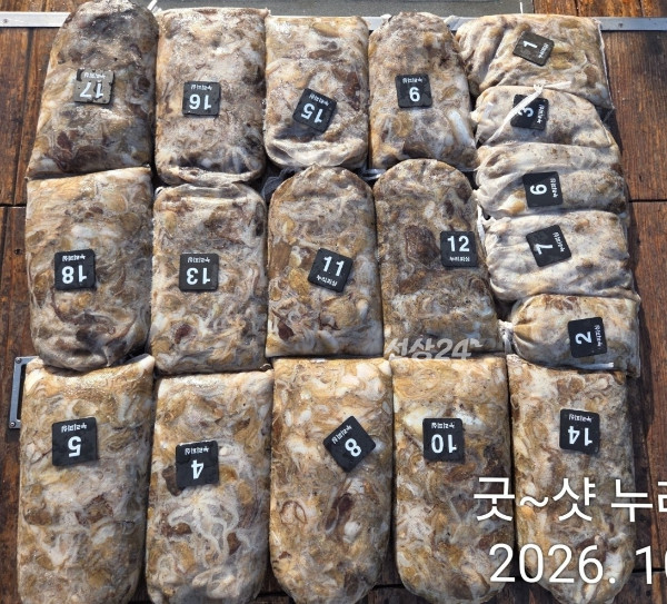100543.jpg
