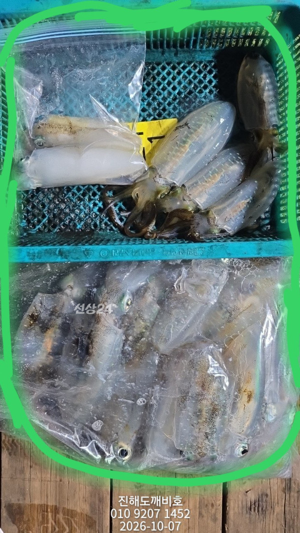 9037.jpg