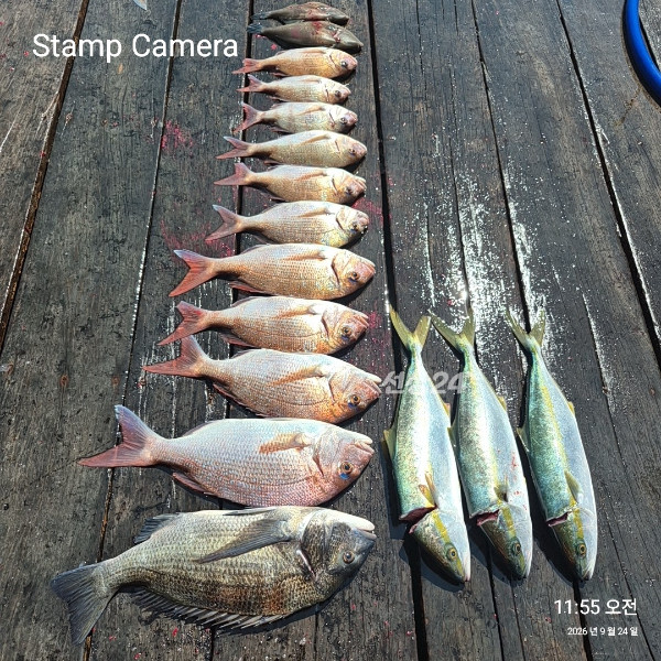 StampCamera20260924115533.jpg