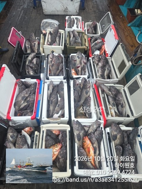 KakaoTalk_20261020_144243971.jpg