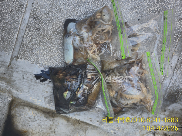 1000026940.jpg