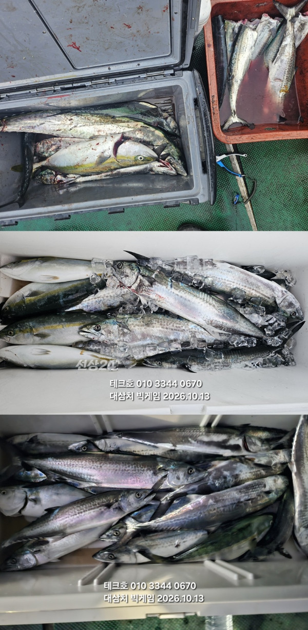 KakaoTalk_20261013_132757479_04-vert.jpg