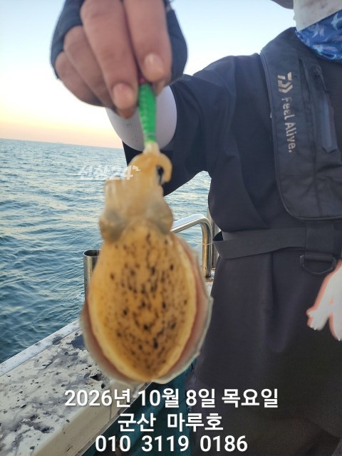 KakaoTalk_20261008_161016845_09.jpg