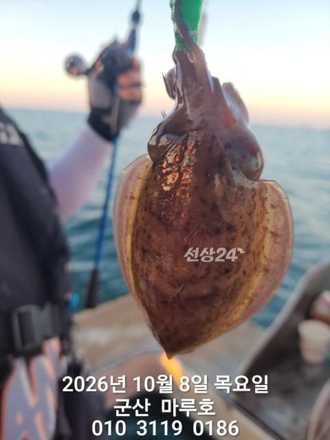 KakaoTalk_20261008_161016845_14 (1).jpg
