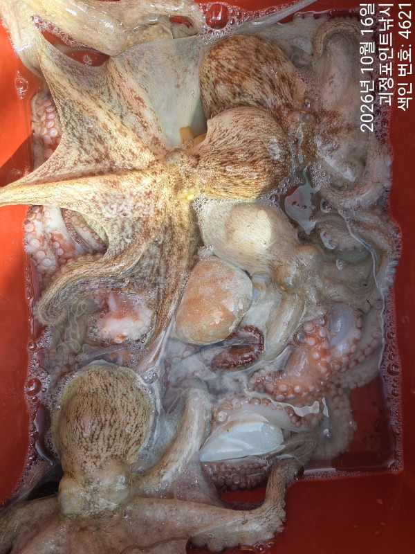 KakaoTalk_20261016_160956198_10.jpg