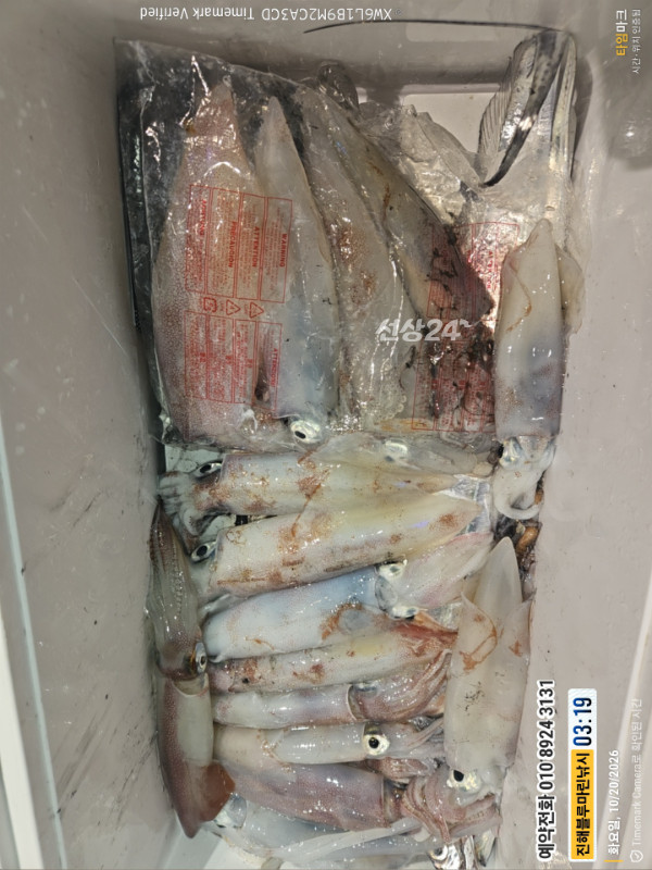 20261020_031920_제목-진해블루마린낚시_글꼴-예약전화 010 8924 3131.jpg
