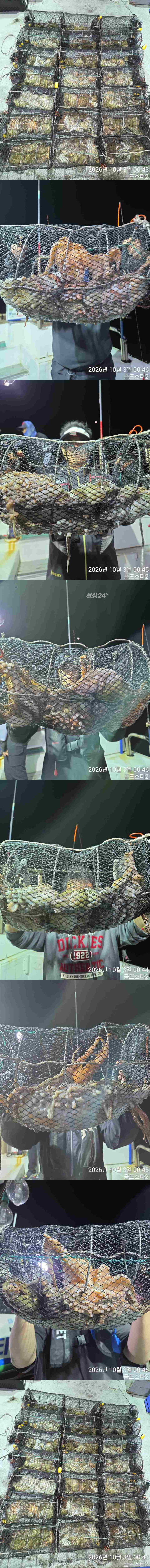 [포맷변환]s.jpg