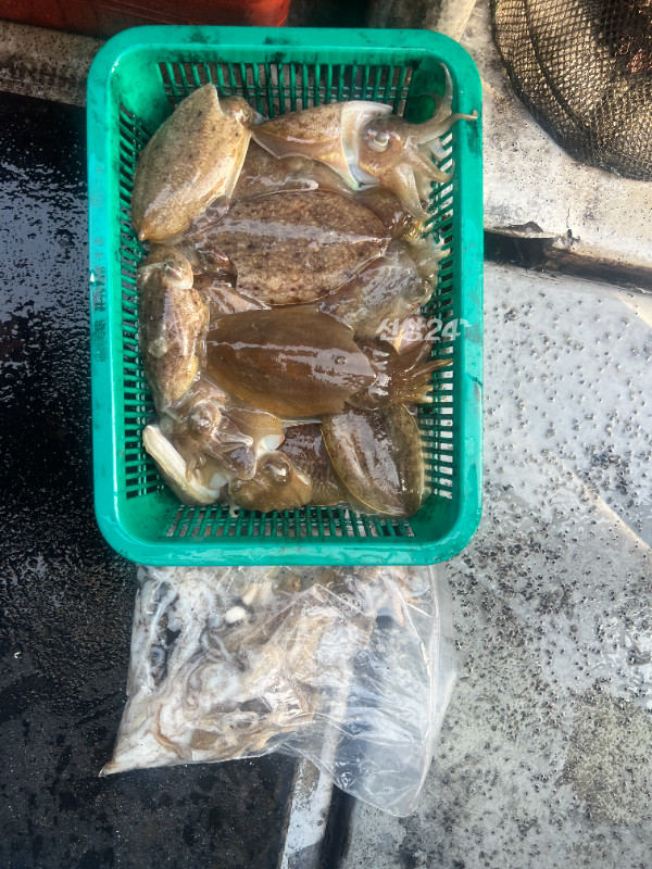 KakaoTalk_20261017_172134927_04.jpg