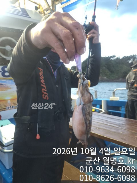 18064.jpg