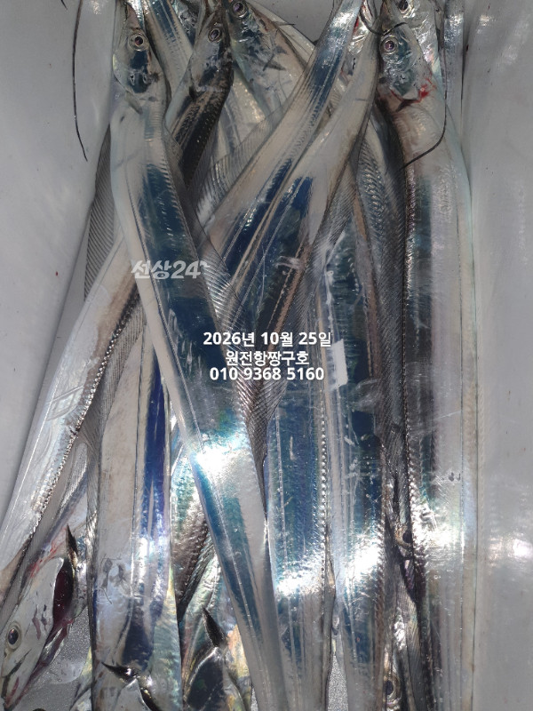 37524.jpg