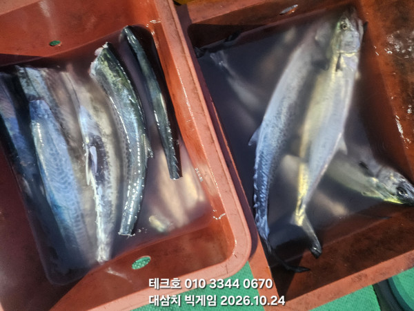 KakaoTalk_20261024_181458037_05.jpg