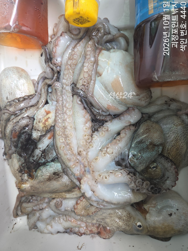 KakaoTalk_20261001_143154977_10.jpg