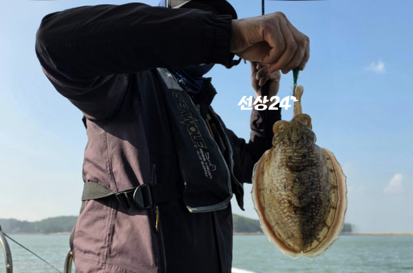 4110.jpg