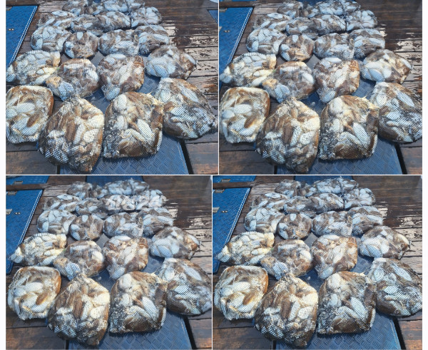 1000083321.jpg