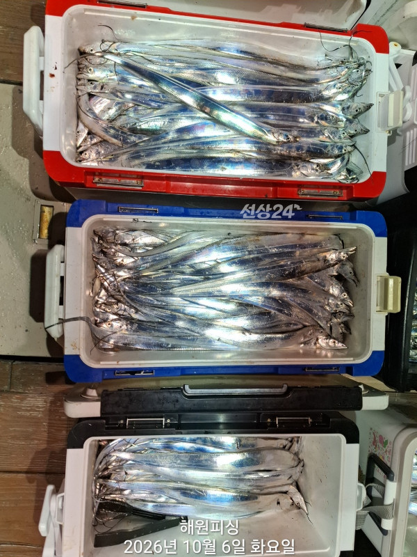 1000037224.jpg
