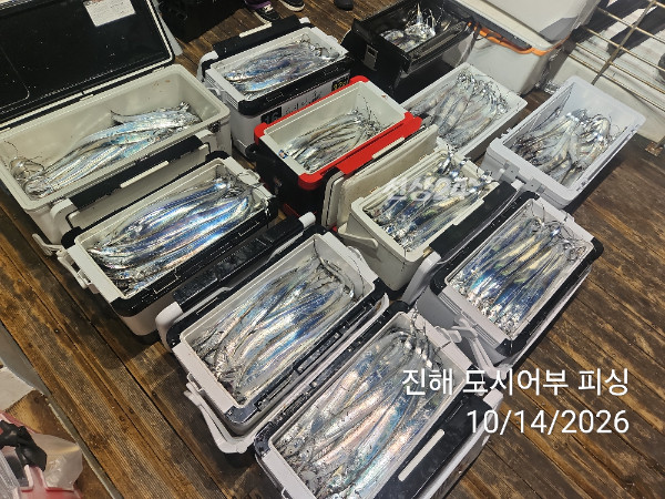 KakaoTalk_20261014_043827989_14.jpg