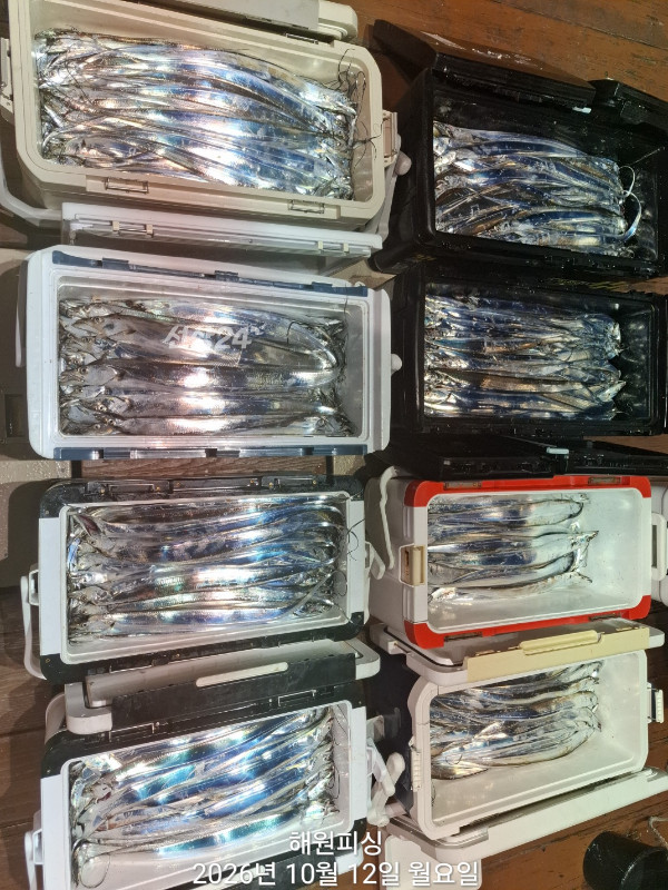 1000037317.jpg