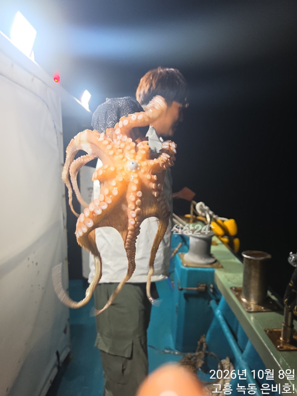 쎄븐피싱클럽(선상 버스출조전문)_사진_20261009_2.jpg