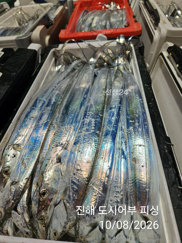 KakaoTalk_20261008_051056035_17.jpg