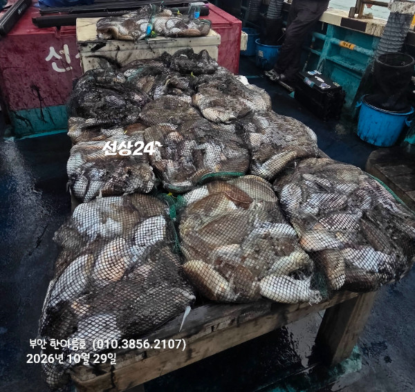 68966.jpg