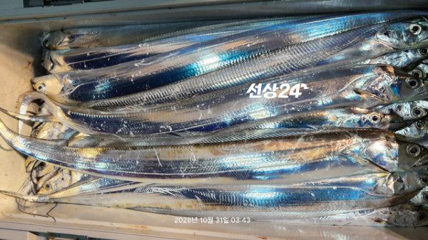 1004피싱_사진_20261031_10.jpg