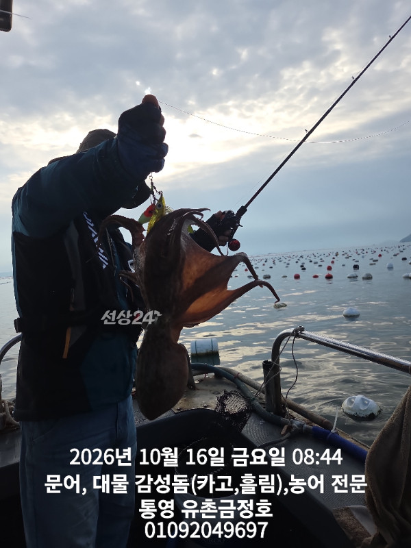 1000062689.jpg