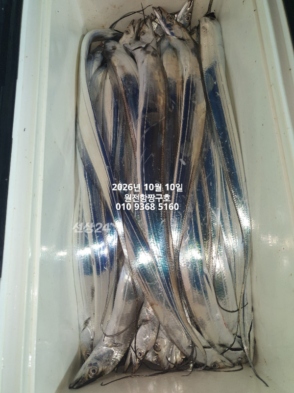 KakaoTalk_20261010_060125117_08.jpg