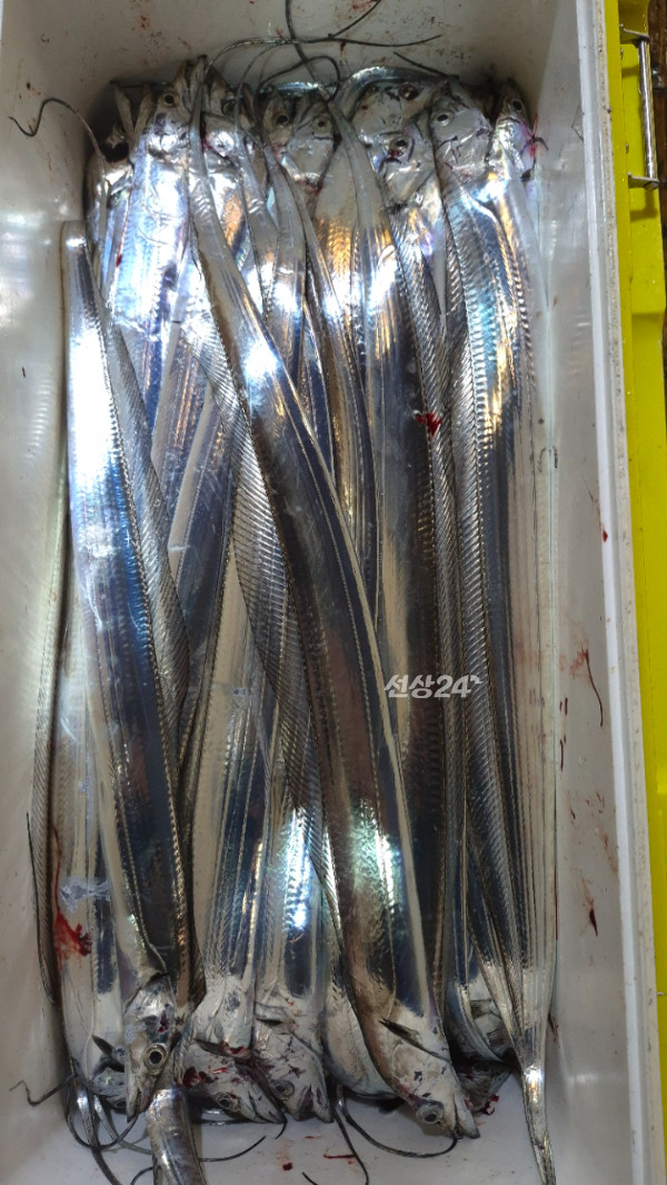 1004피싱_사진_20261020_12.jpg