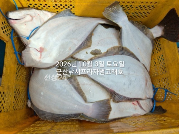 KakaoTalk_20261003_144137408_03.jpg