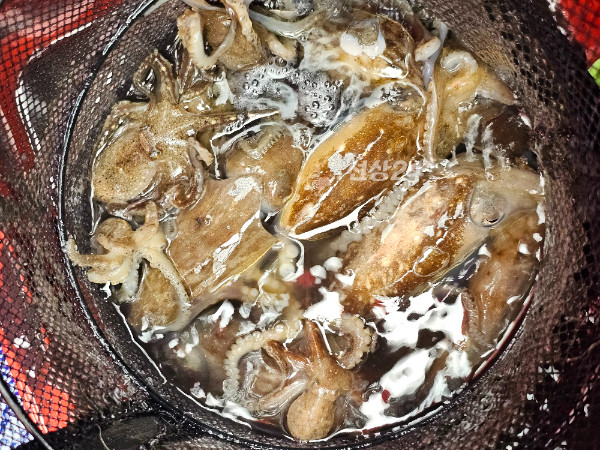 KakaoTalk_20261019_194848393_09.jpg