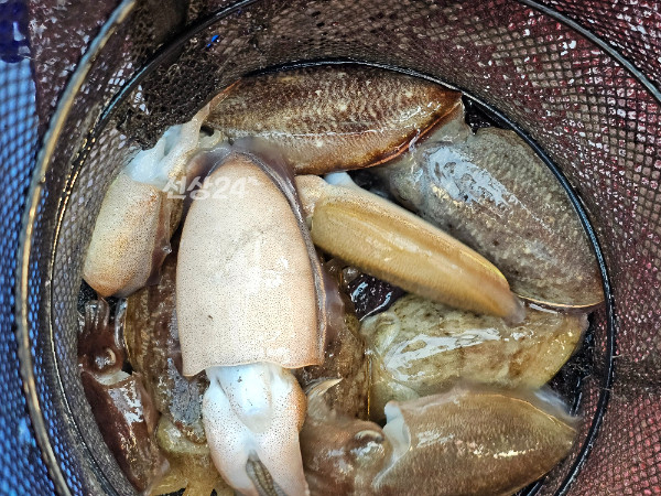 KakaoTalk_20261016_174427786_01.jpg