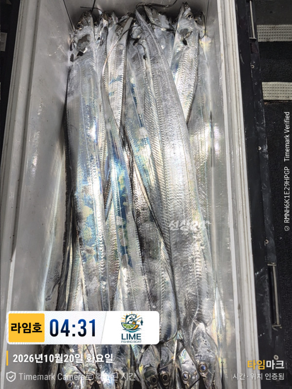 KakaoTalk_20261020_085945175_12.jpg