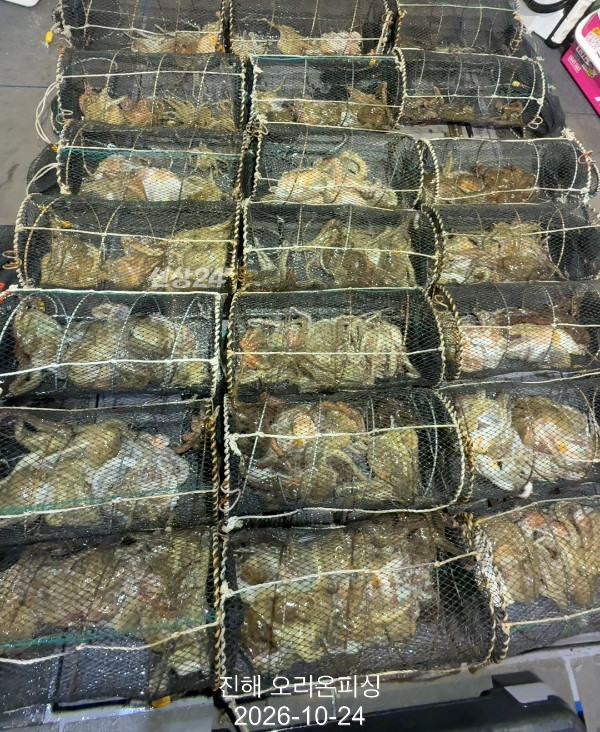 KakaoTalk_20261024_035819831_18.jpg