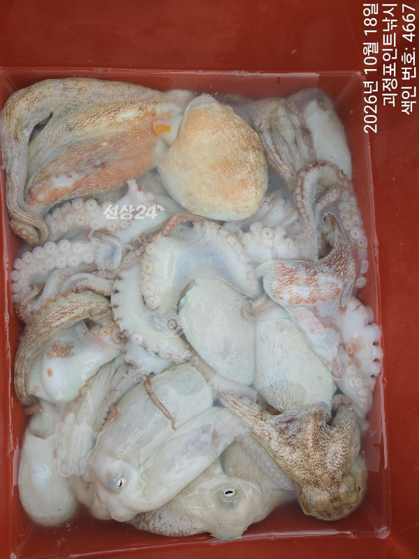 KakaoTalk_20261018_163900691_07.jpg