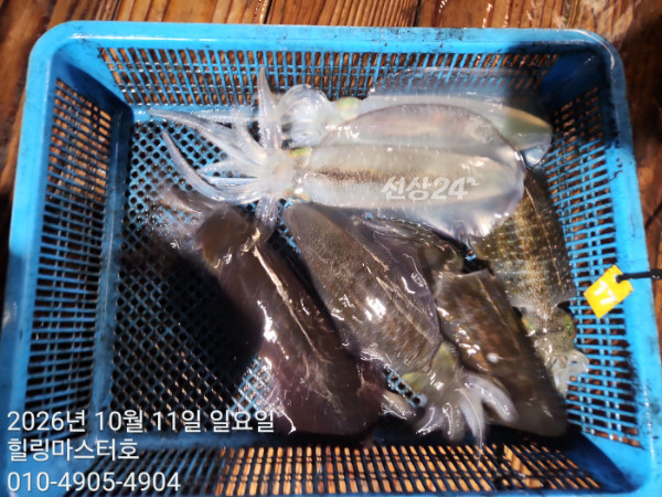 KakaoTalk_20261011_033140720_15.jpg