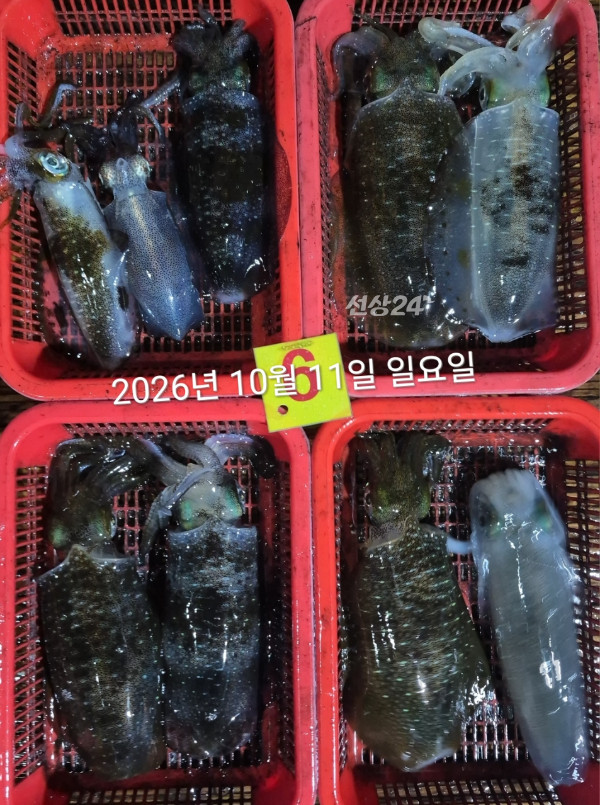 89550.jpg