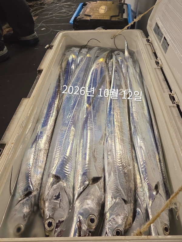 9128DDA9-D187-4D4D-9708-0D2844FE713D.jpeg