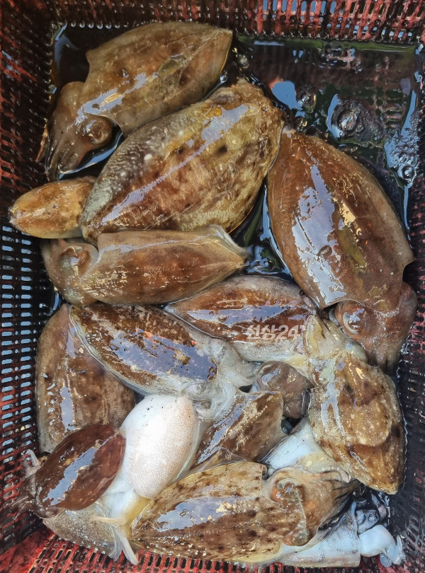KakaoTalk_20261006_190546088_09.jpg