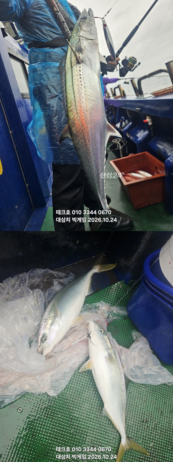 KakaoTalk_20261024_104510180-vert.jpg