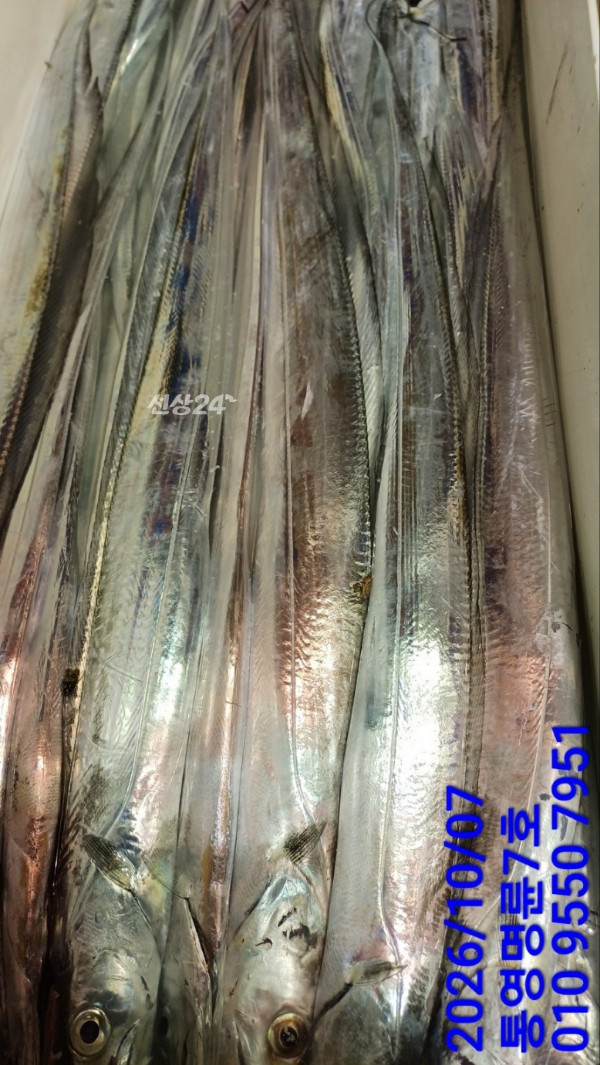 KakaoTalk_20261007_044700161_18.jpg