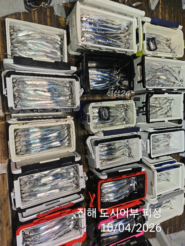 KakaoTalk_20261004_050453266_11.jpg
