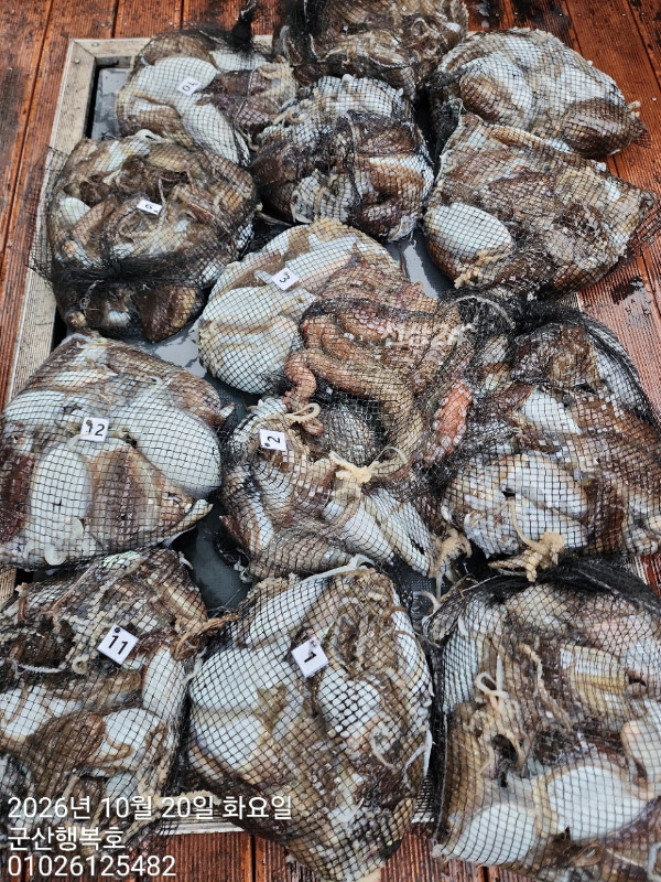 군산행복호_사진_20261020_5.jpg