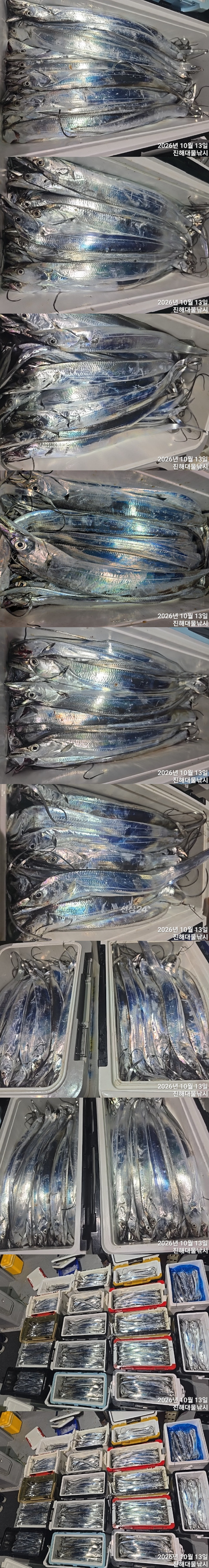 칼치4.jpg