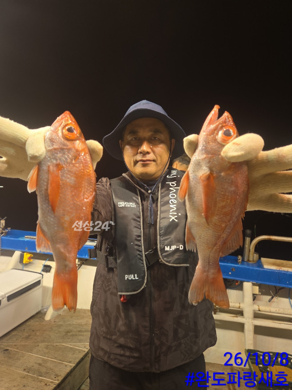완도파랑새호(블루버드)_사진_20261009_8.jpg