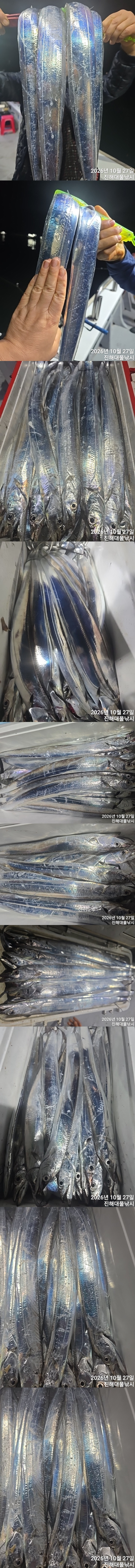칼치2.jpg