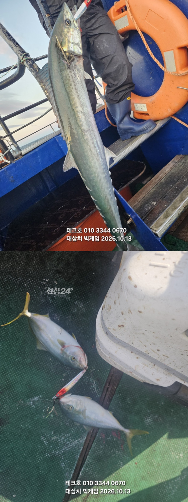 KakaoTalk_20261013_175526261_08-vert.jpg