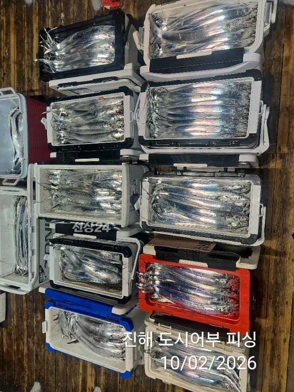 KakaoTalk_20261002_051645074_10.jpg
