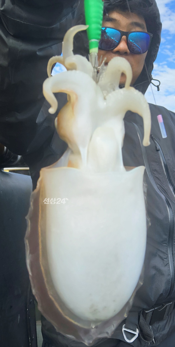 20912.jpg