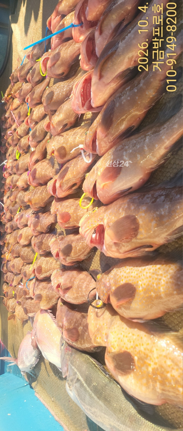 1000035573.jpg